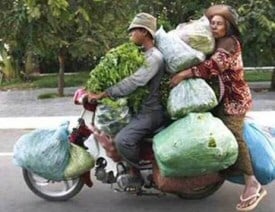 Grocery on Bike