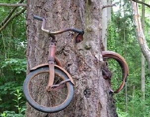 Bike in Tree