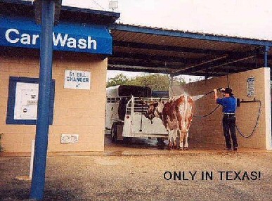 cow car wash texas
