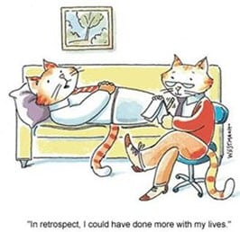 cat cartoon