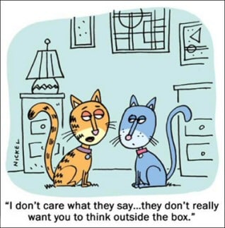 cat box cartoon