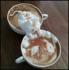 cat coffees