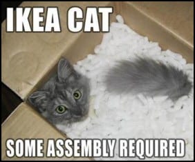 Ikea Cat