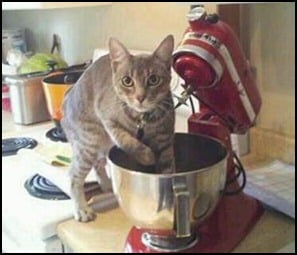 cat mincer