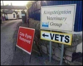 cat eyes and vet signs