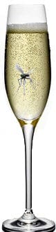 Champagne Glass with fly in it