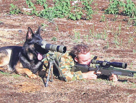 dog and gun