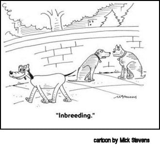 dog inbreeding cartoon