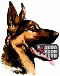 dog with phone