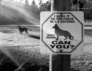 dog warning sign