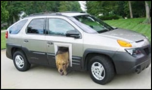 Dog Door on car