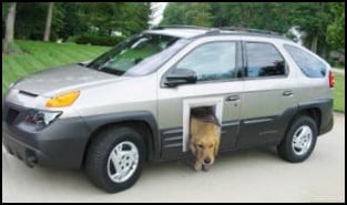 dog door on car 1
