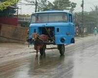 donkey car