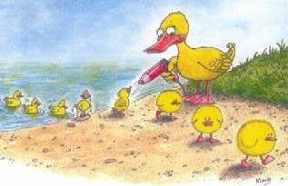 duck mother