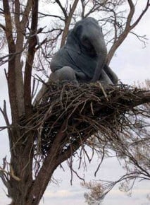 elephants nest