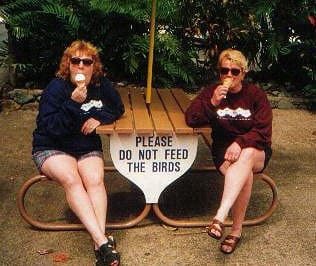 do not feed birds sign