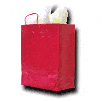 gift bag