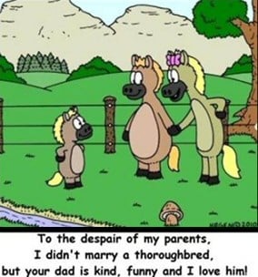 horses cartoon