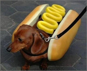 hot dog and mustard costume