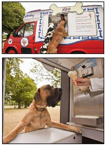 dog ice cream van