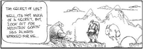 mountain goat cartoon