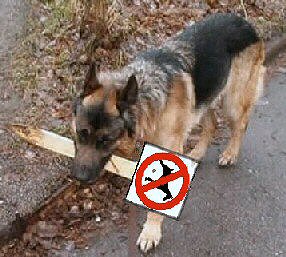 dog with sign in mouth