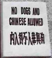 no dogs allowed Chinese sign