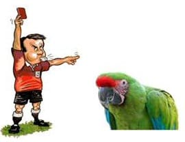 parrot ref