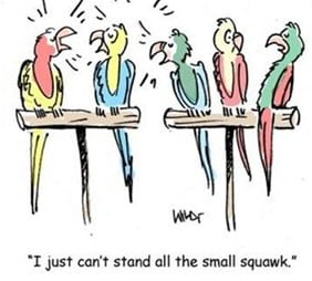 parrot cartoon