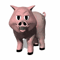 pig blinking gif