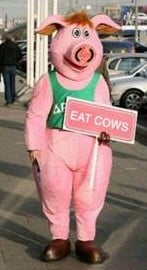 pig costume