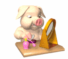 pig with mirror