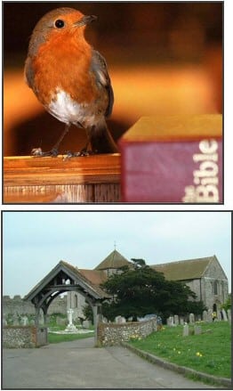 robins churches