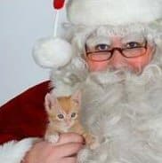 Santa Claws and cat