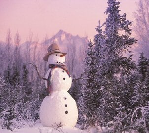 funny snowman