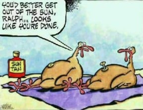turkey cartoon