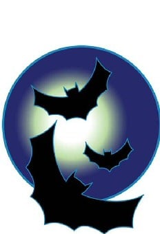 Bats and Moon