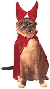 cat in red cloak