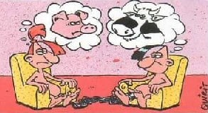 cow and pig cartoon