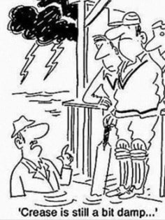 damp cricket crease cartoon