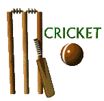 cricket gif