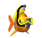 fish snorkelling gif