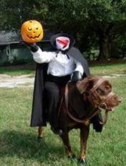 sleepy hollow costume