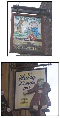 Hairy lemon pub sign