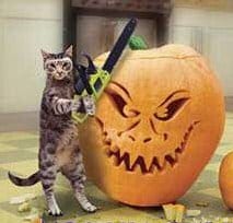 Cat with chainsaw and pumpkin