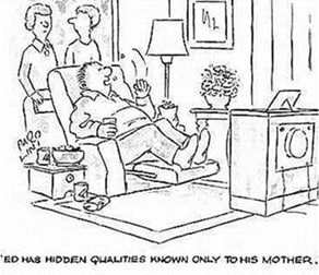 hidden qualities cartoon