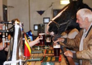 Horse pub