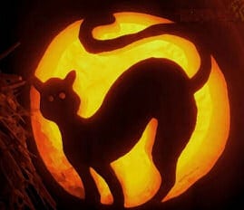 cat carved in pumpkin
