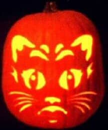 sad cat pumpkin carving