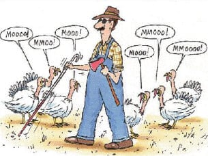 Thanksgiving turkey cartoon